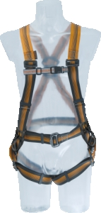 ARG 40