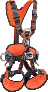 AXESS QR ASCENDER
