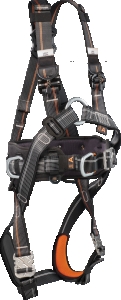 IGNITE NUCLEON