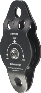 CASTOR
