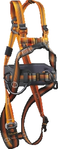 FALC STANDARD